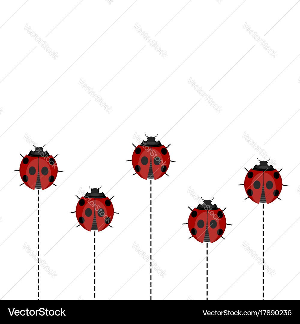 Ladybug pattern on white background Vector Image