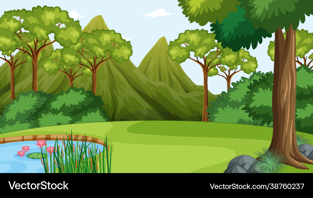 Forest at daytime scene with various trees Vector Image