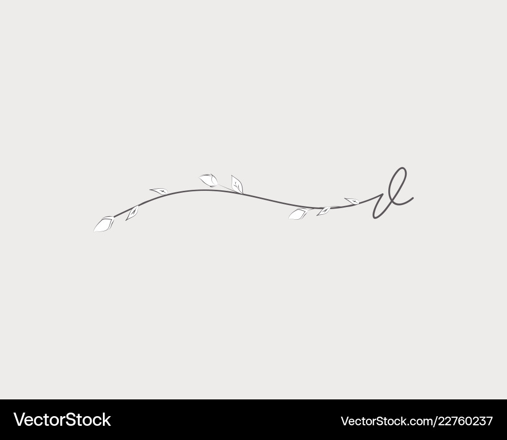 Hand lettering floral v lowercase monogram Hand lettering floral v lowercase monogram vector image