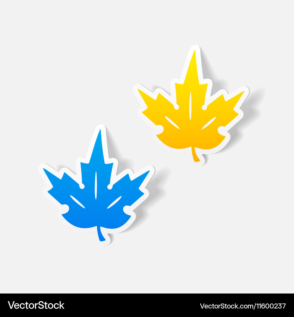Realistic design element vector image