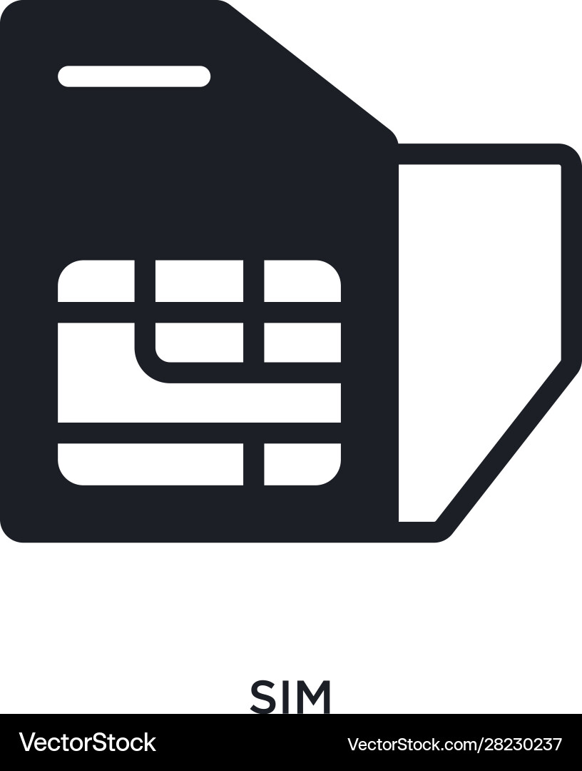 Sim isolated icon simple element from electronic vector image