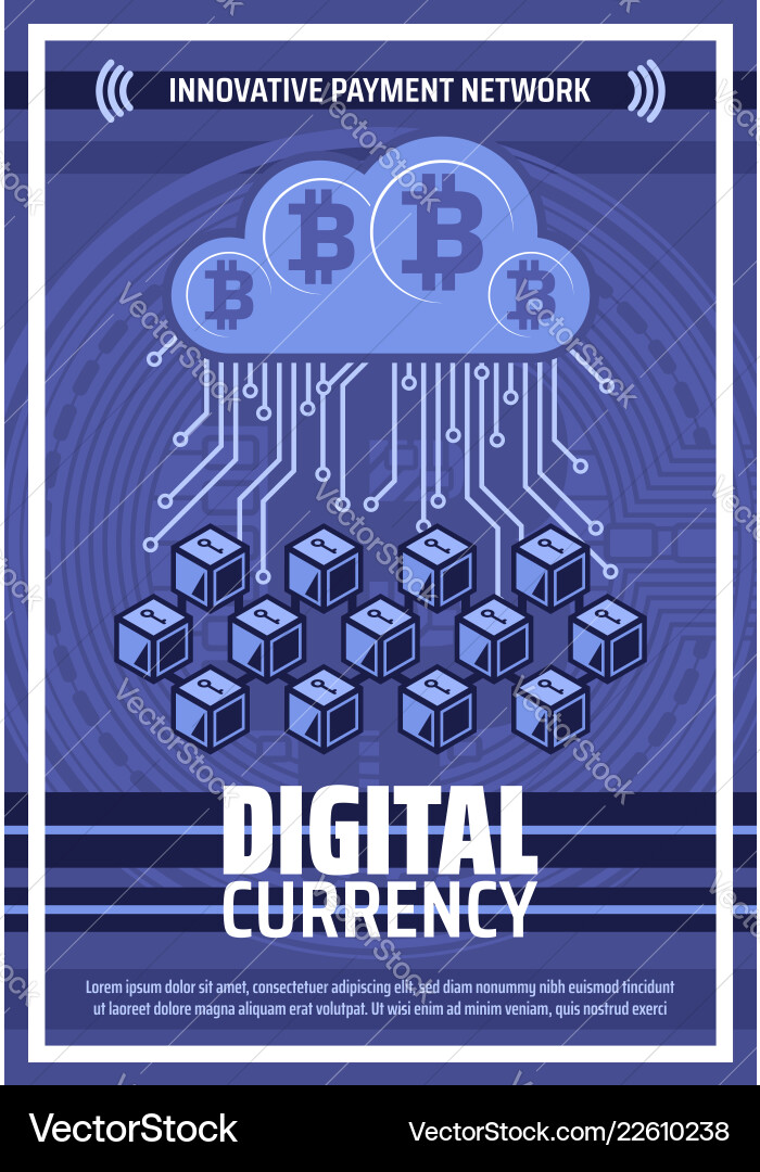 Bitcoin Blockchain Network Vector Image
