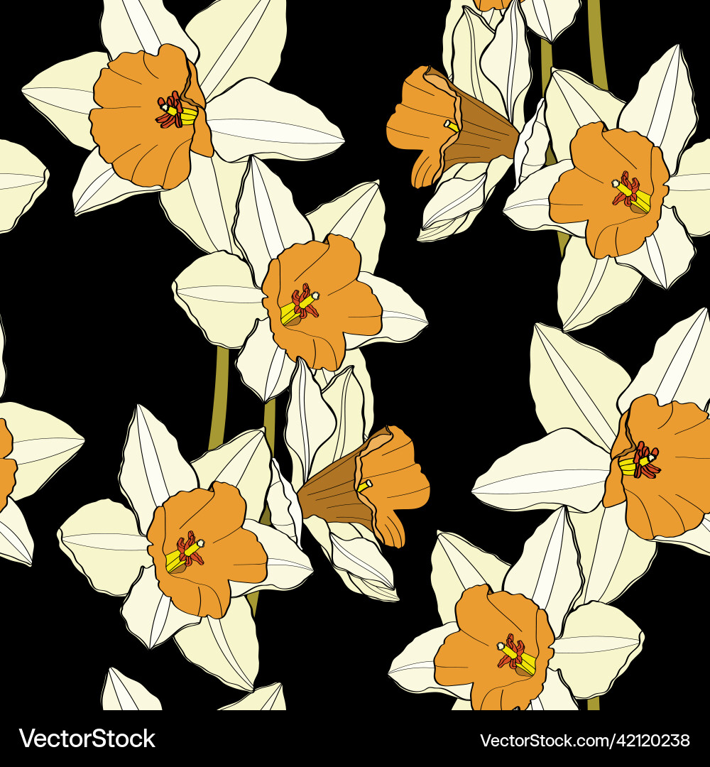 Delicate Spring Daffodil Pattern Vector Image