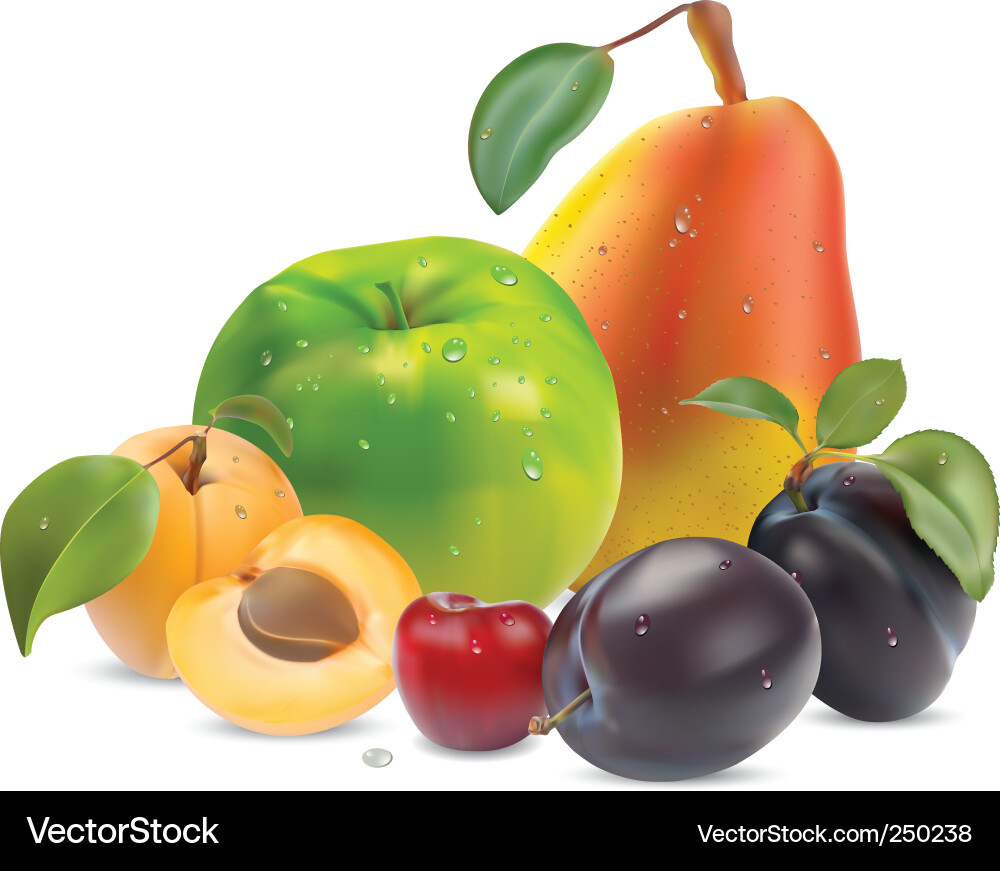 Delicious Summer Fruits Collection Vector Image