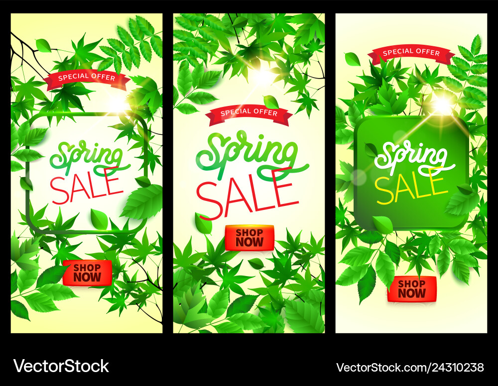 Spring background with green leaves and frame Vector Image