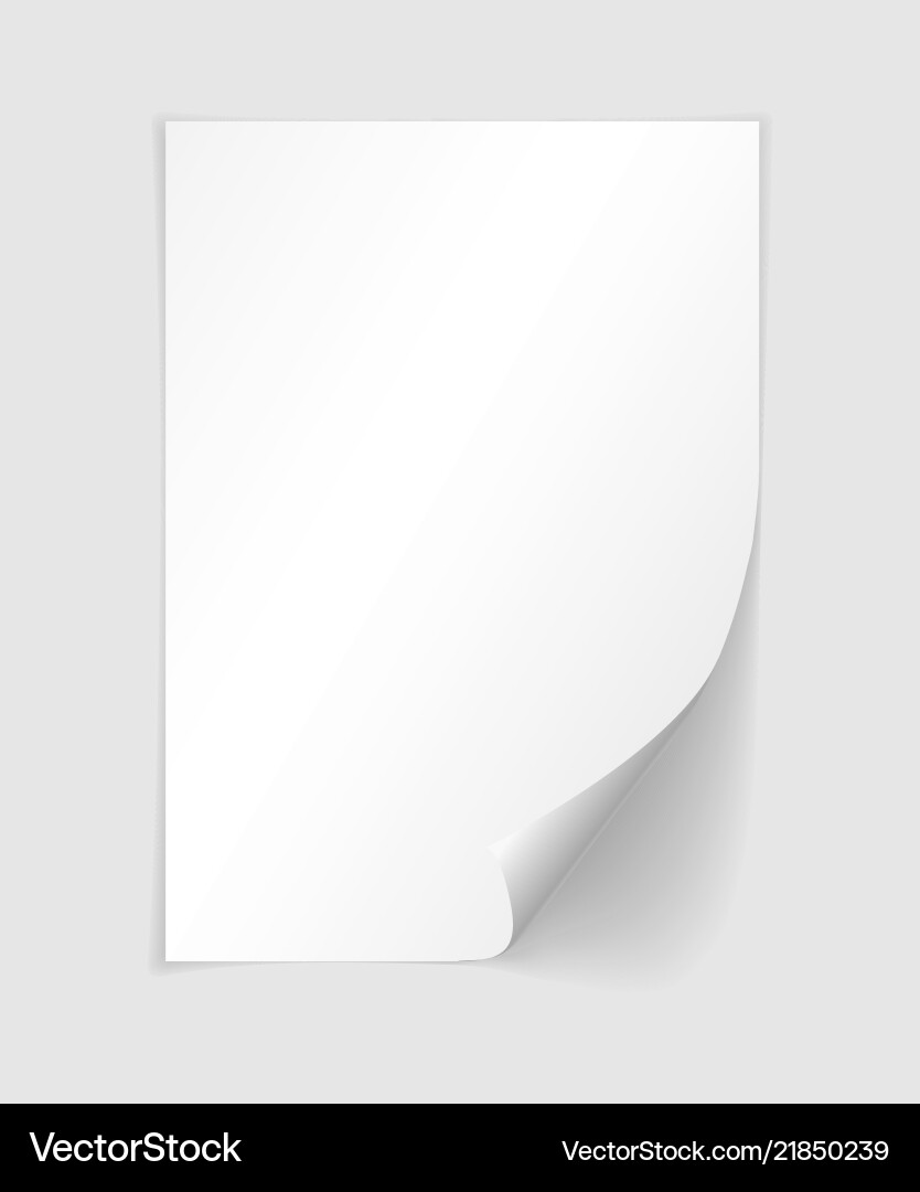 A4 Paper with Shadow Effect vector image