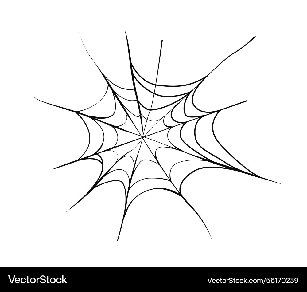 Spider web with radial threads design vector image