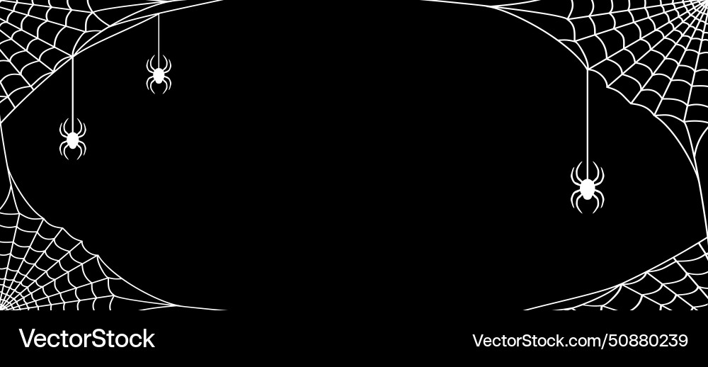 White cobweb with spiders on a black background Vector Image