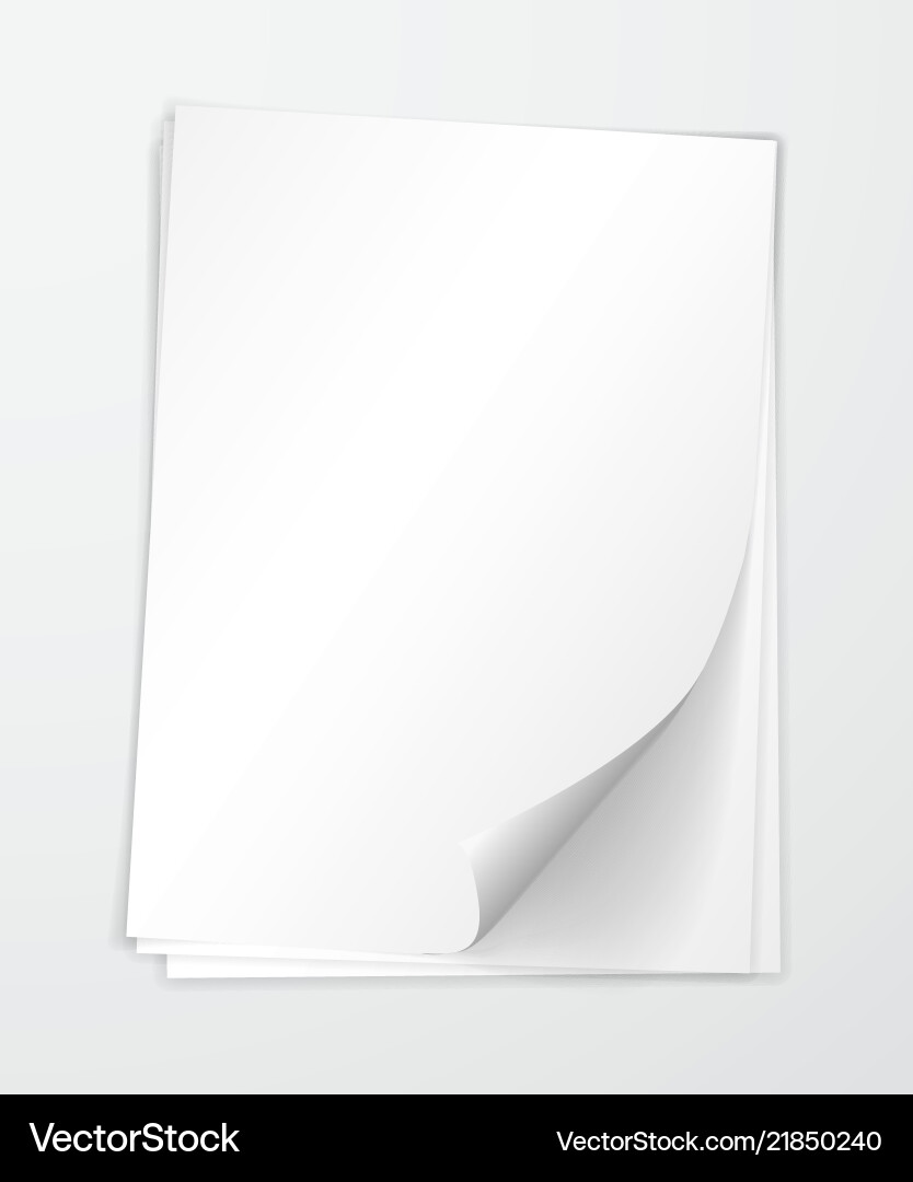 A4 Paper with Shadow Effect vector image