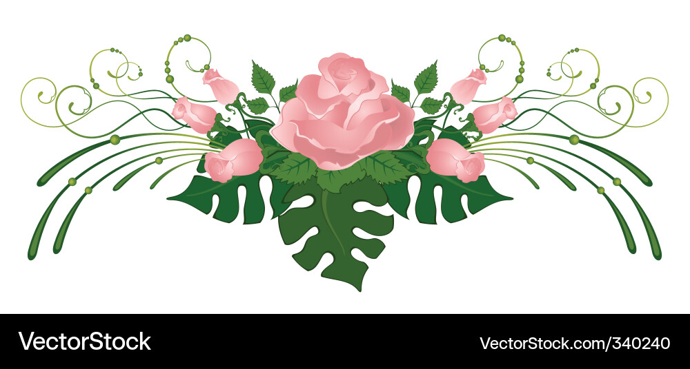 Bouquet of roses Vector Image