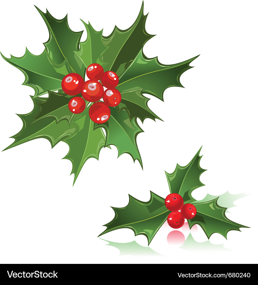 Holly berry christmas Vektorbild