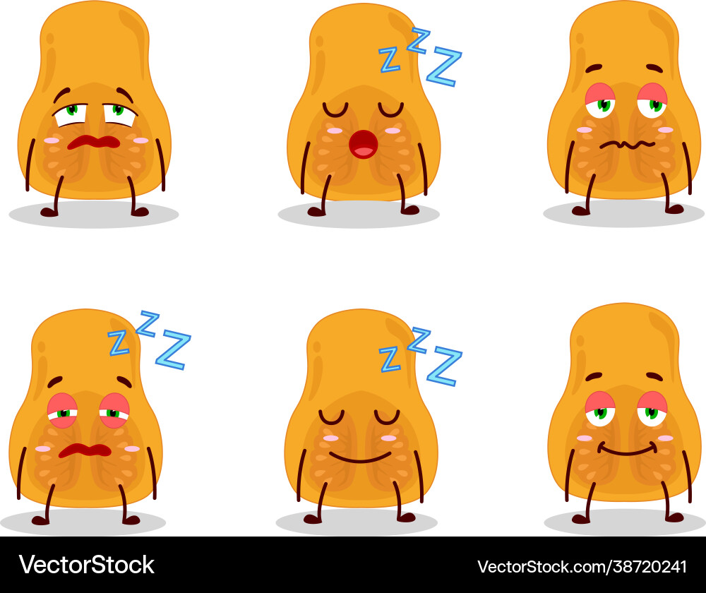 Slice butternut squash with sleepy expression Slice butternut squash with sleepy expression vector image