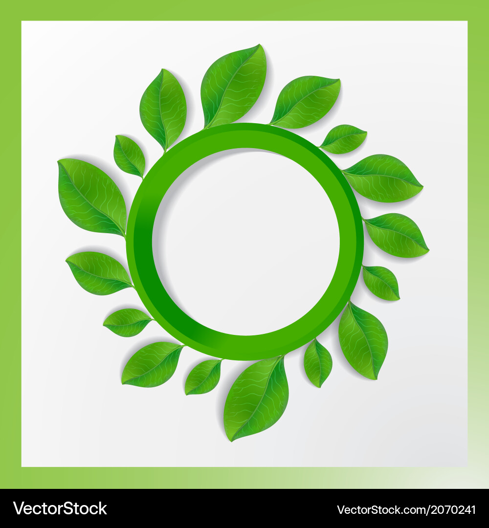 Tree with circles and leaves on the branches vector image