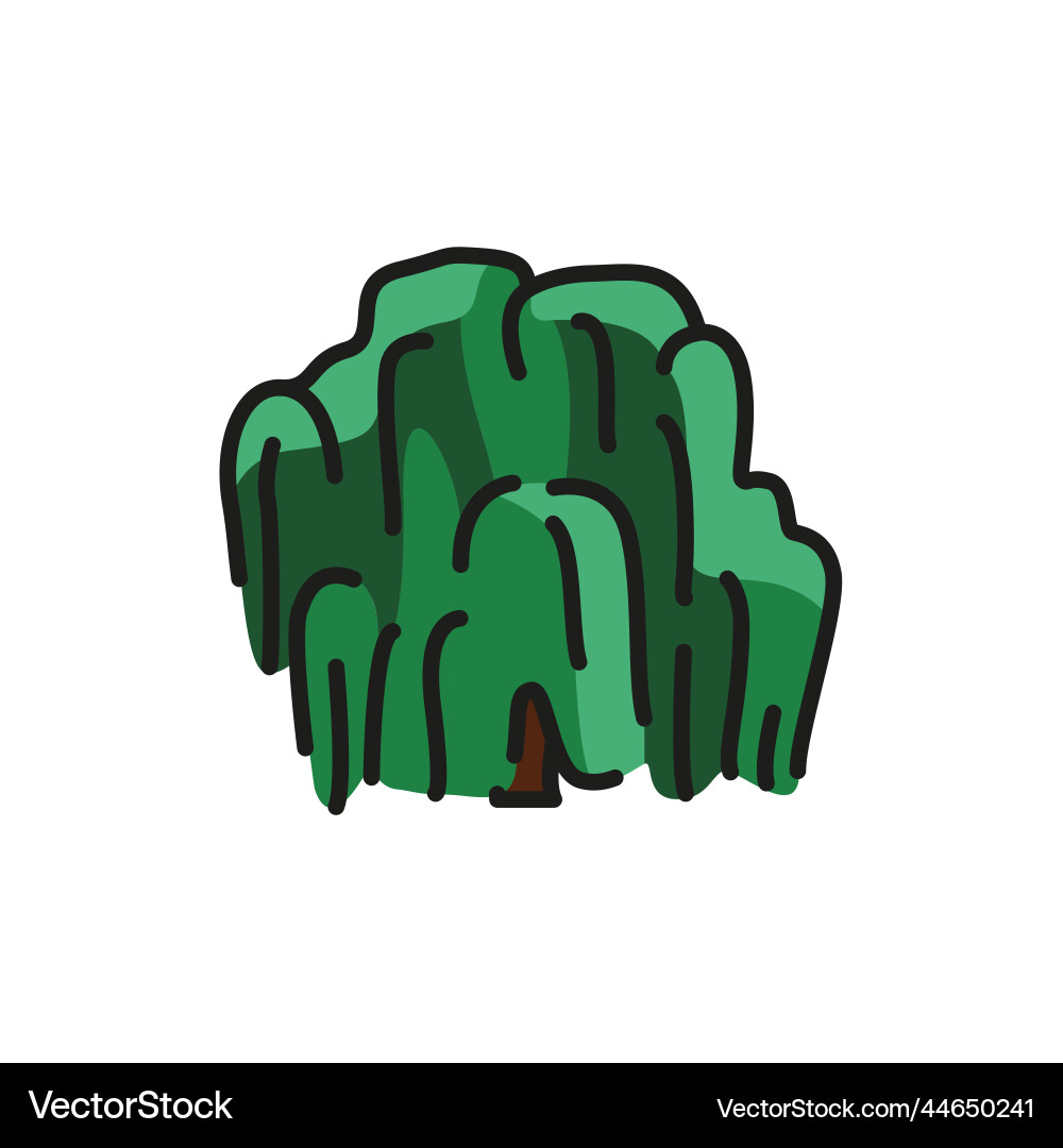 Willow tree color line icon pictogram for web vector image