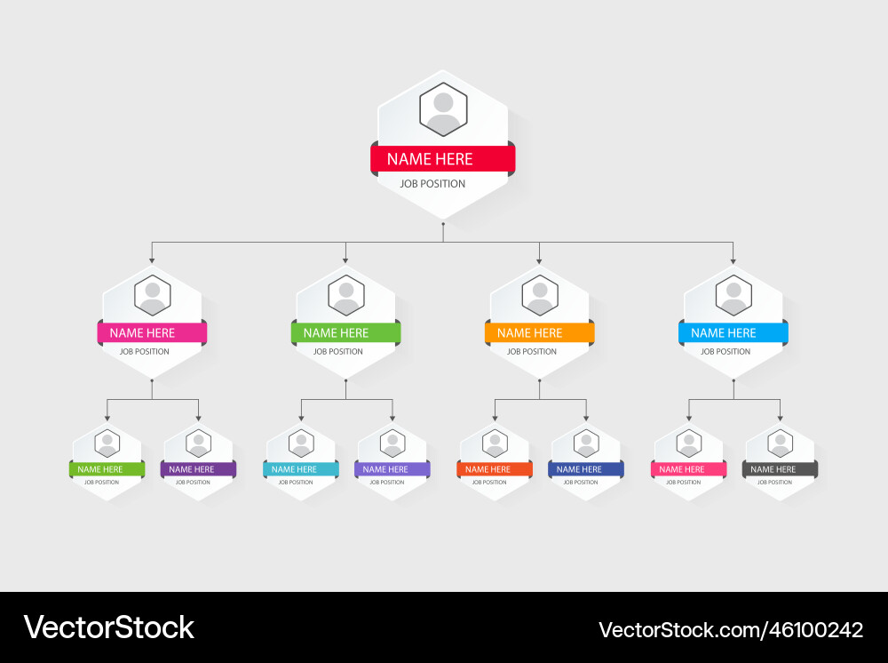 Job position classification graph chart design Job position classification graph chart design vector image