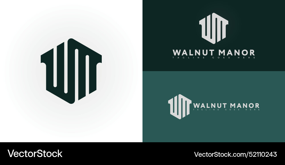 Abstract initial hexagon letter wm or mw logo vector image