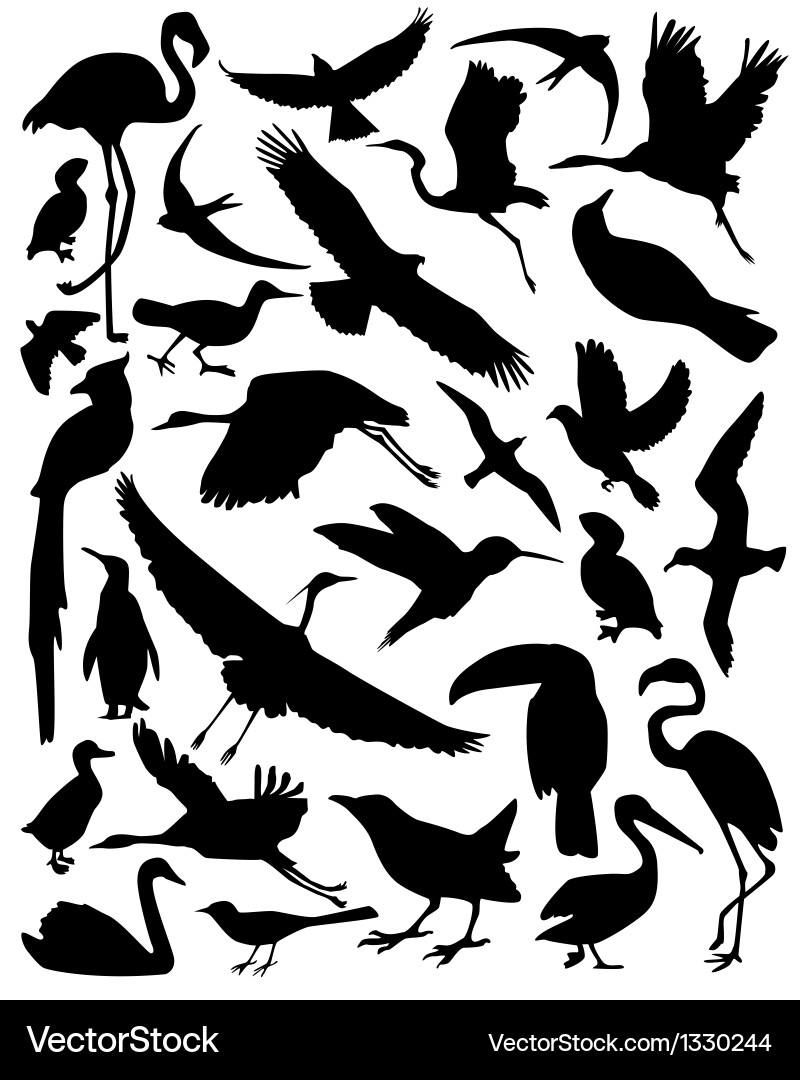 Elegant Crane Silhouette Vector Image