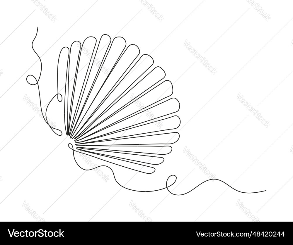 Sea schell continuous line conches of snail Sea schell continuous line conches of snail vector image
