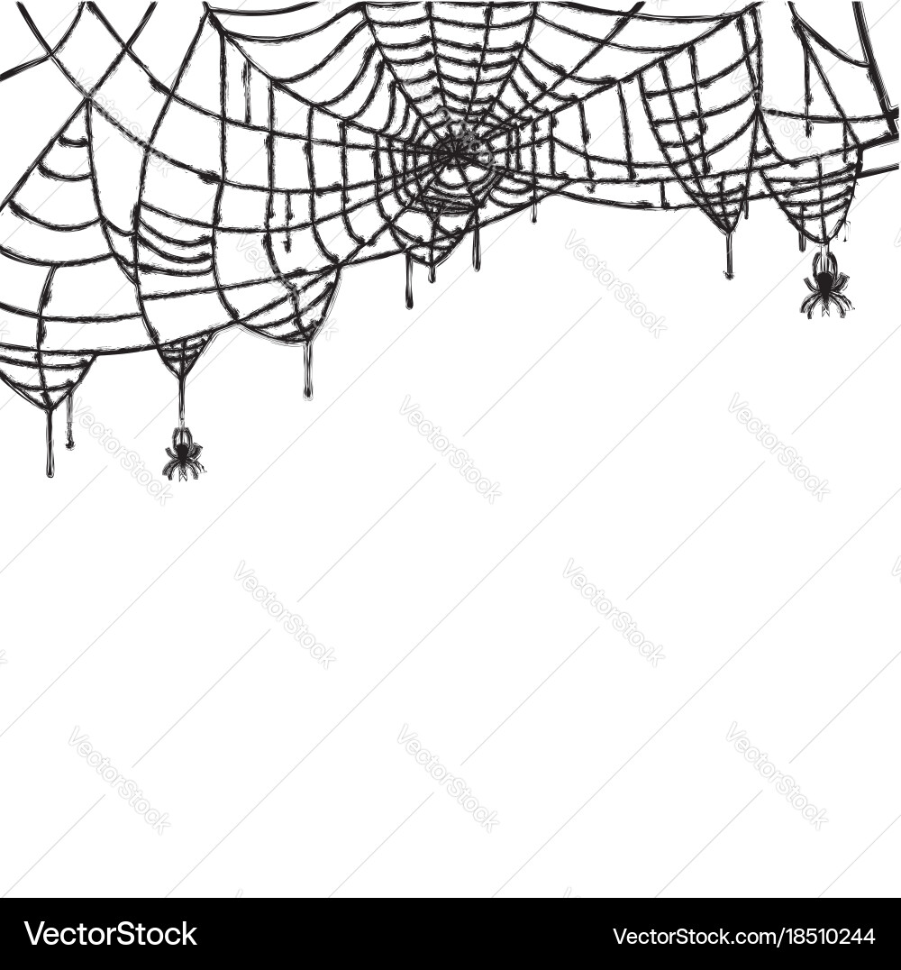 Spider and web isolated on white background vector image