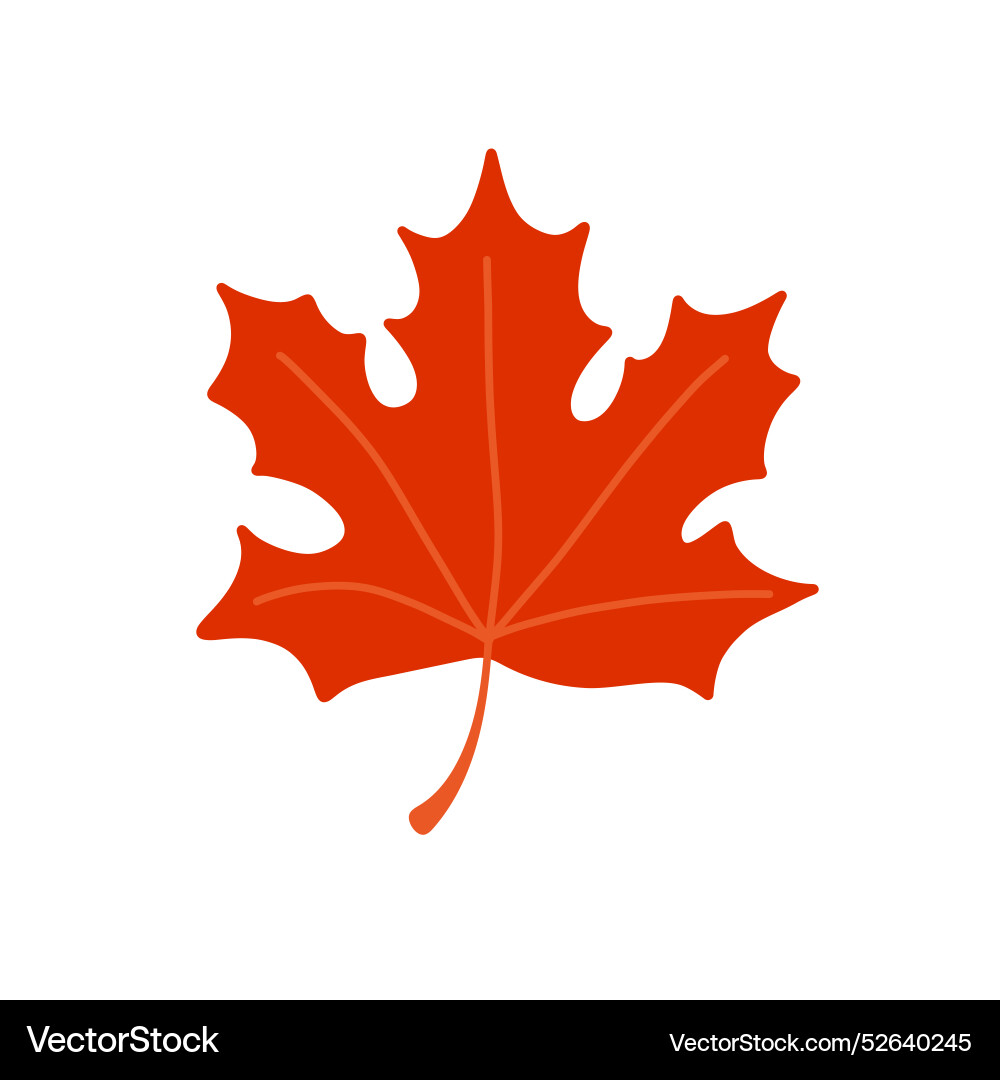 Autumn red maple leaf flat Royalty Free Vector Image
