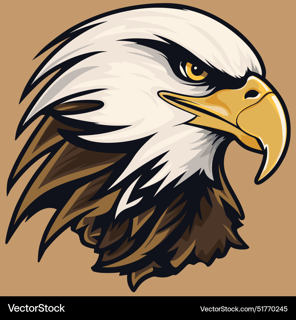 Eagle head or face portrait – Royalty-Free Vector | VectorStock, image size:1000x1080