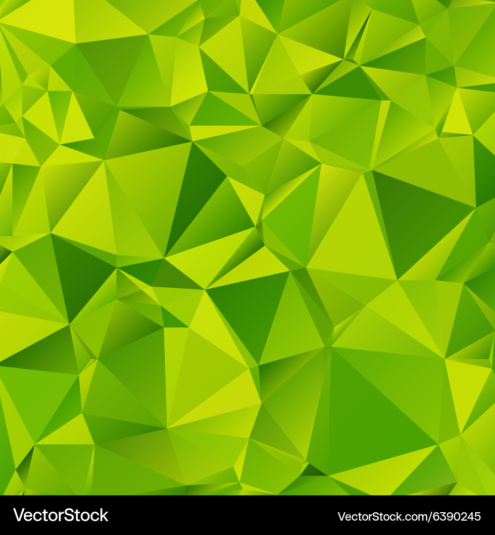 Geometric Triangle Pattern vector image
