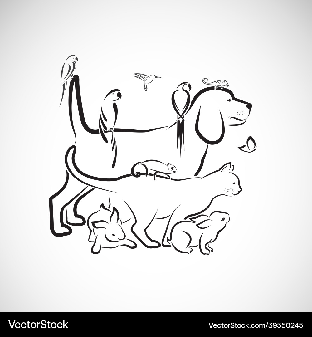 Group of pets - dog cat parrot rabbit Group of pets - dog cat parrot rabbit Vector Image