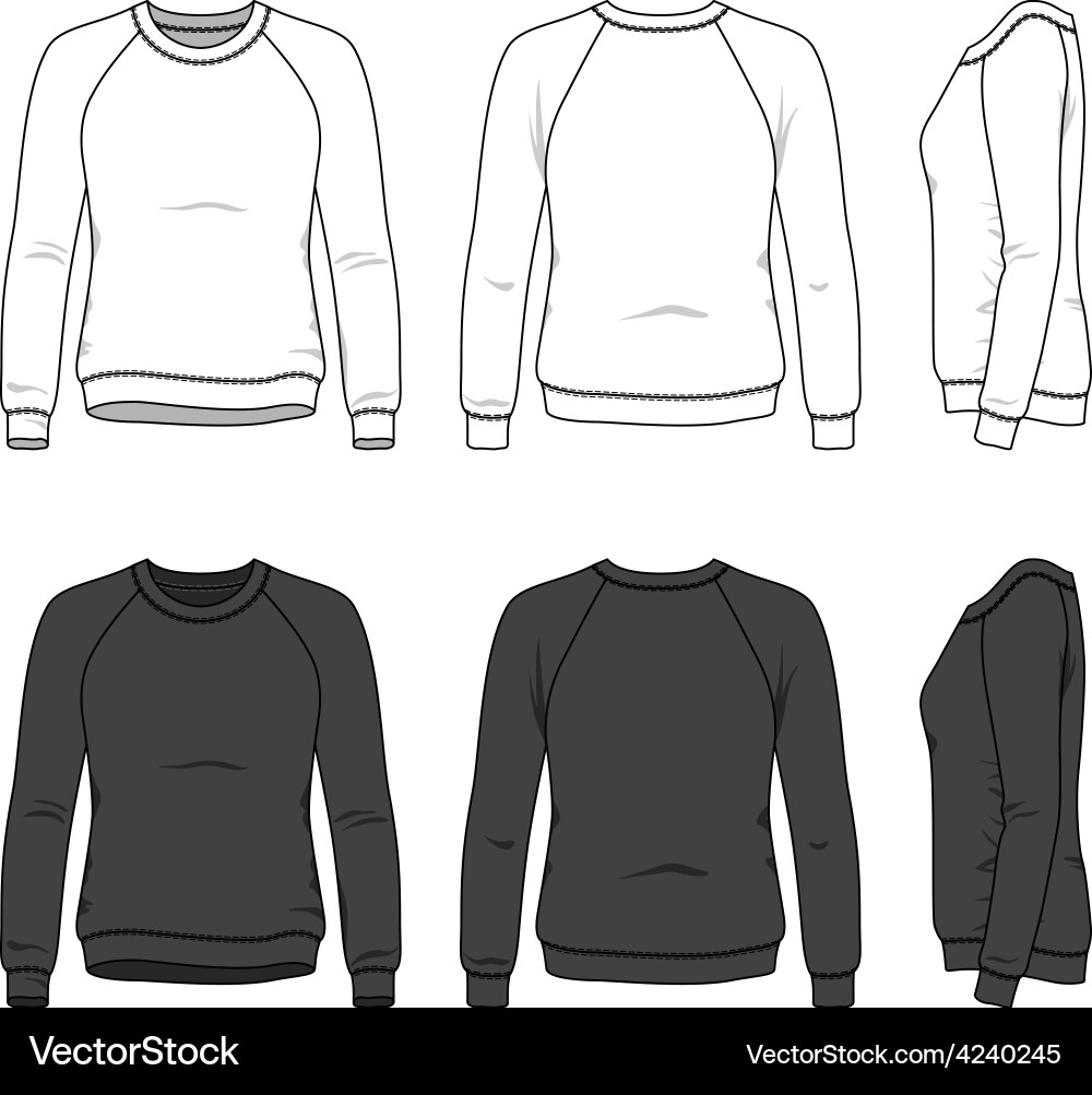 Sweatshirt Front, Back, and Side Views vector image
