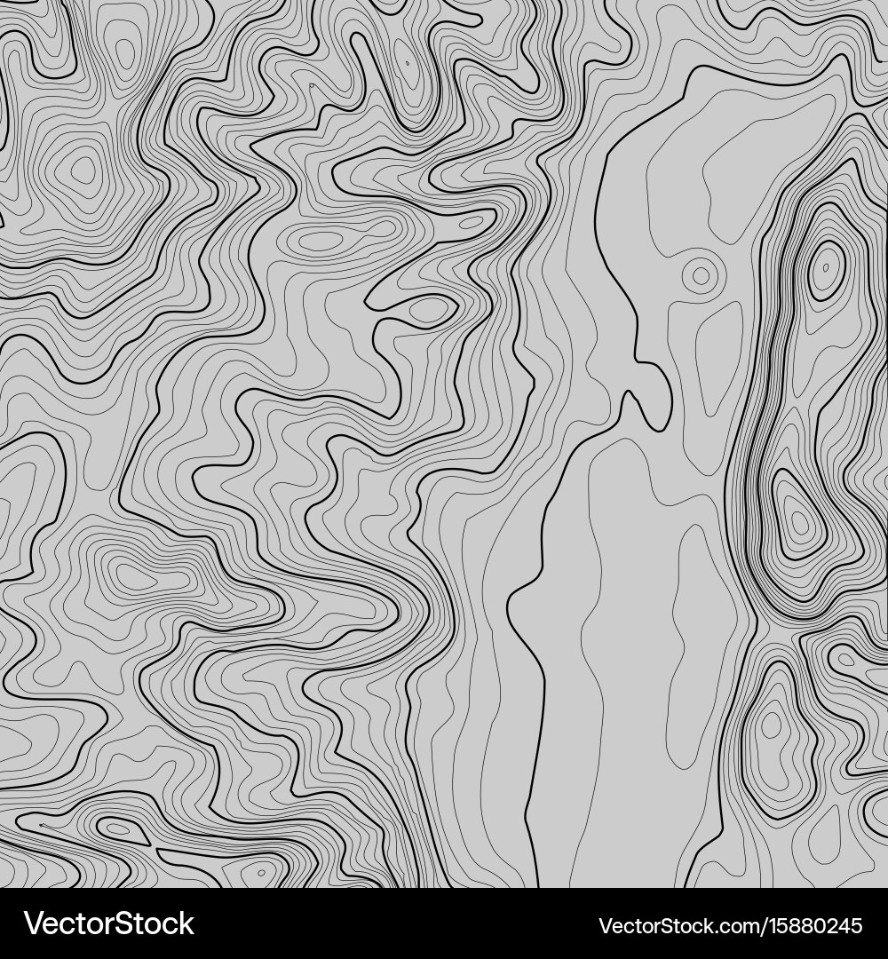 Topographic Map Background Vector Image