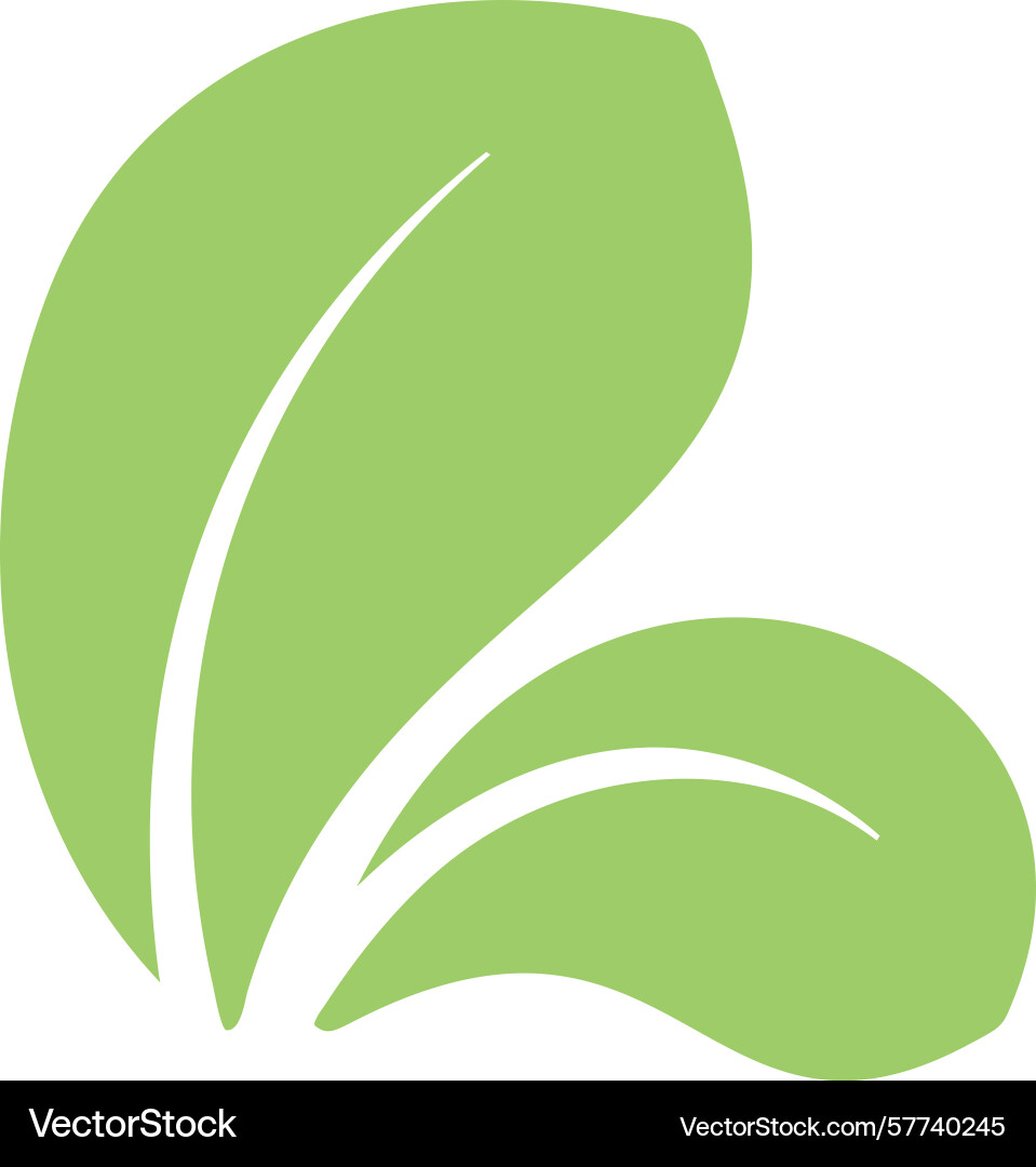 Two overlapping light green leaves creating Two overlapping light green leaves creating Vector Image