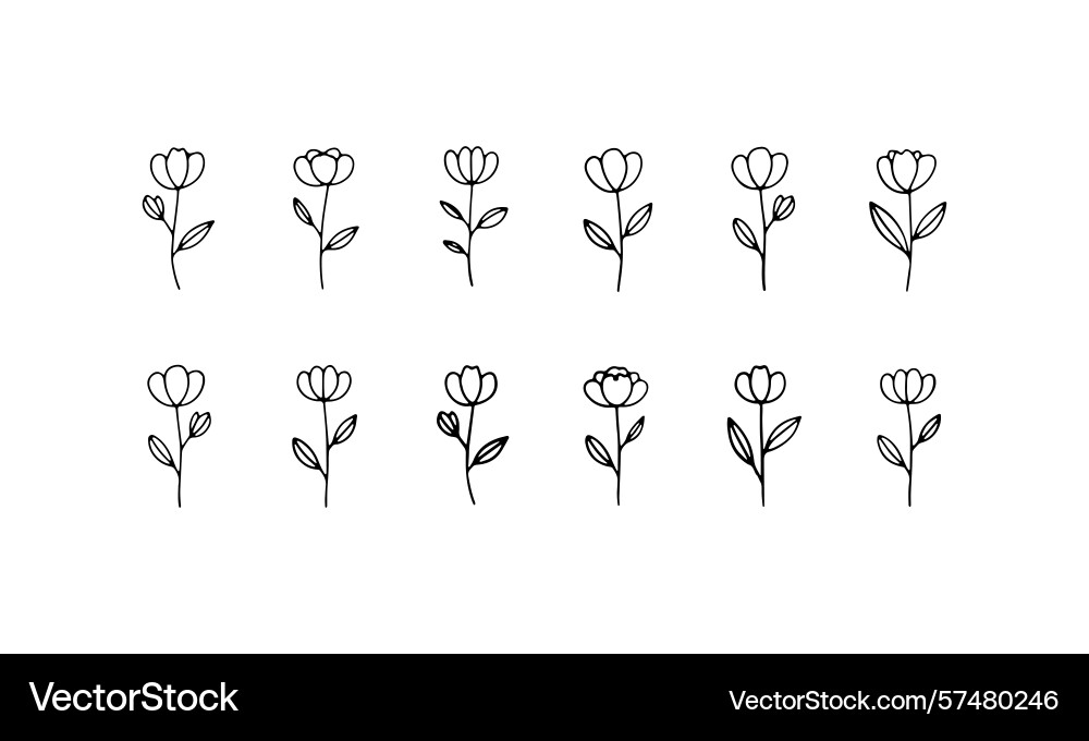 Rounded botanical icons an evenly spaced set Rounded botanical icons an evenly spaced set Vector Image