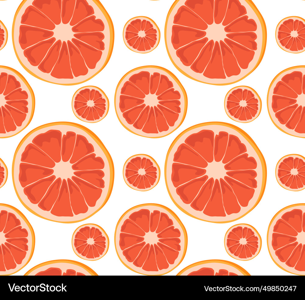 Round slices of grapefruit different sizes vector image