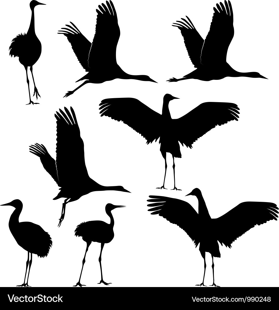 Crane Silhouette vector image