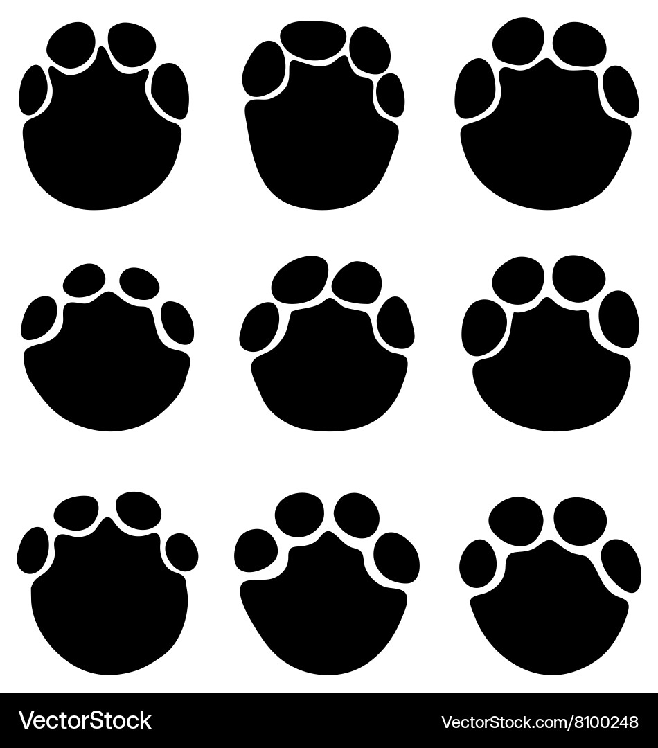 Elephant Footprints Vector Image