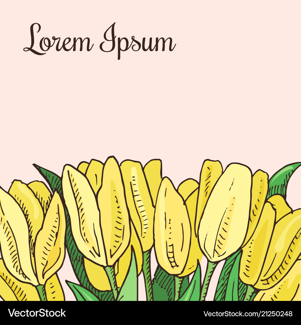 Hand drawn template for poster with tulip bouqet Hand drawn template for poster with tulip bouqet vector image