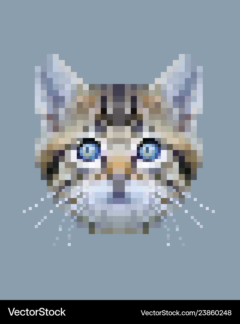 Pixel siberian cat face Royalty Free Vector Image
