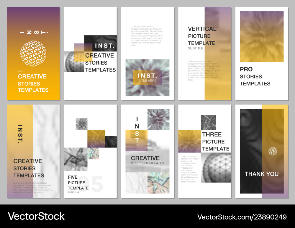 Social Media Story Templates vector image