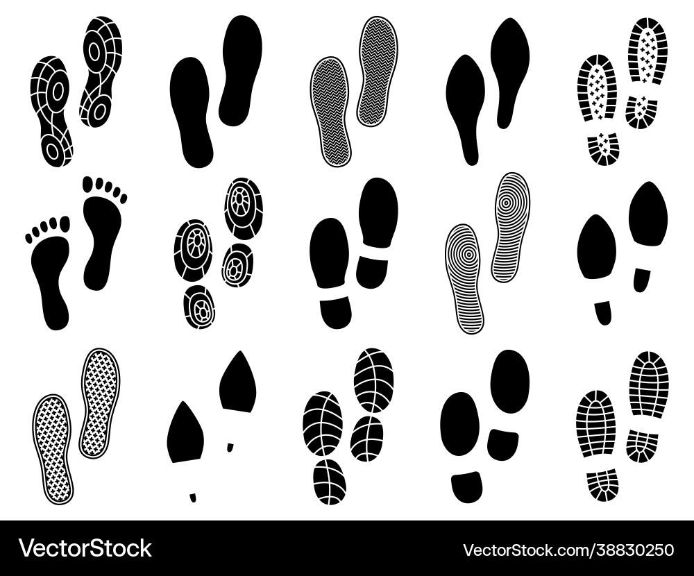 Footprints and Shoe Prints vector image