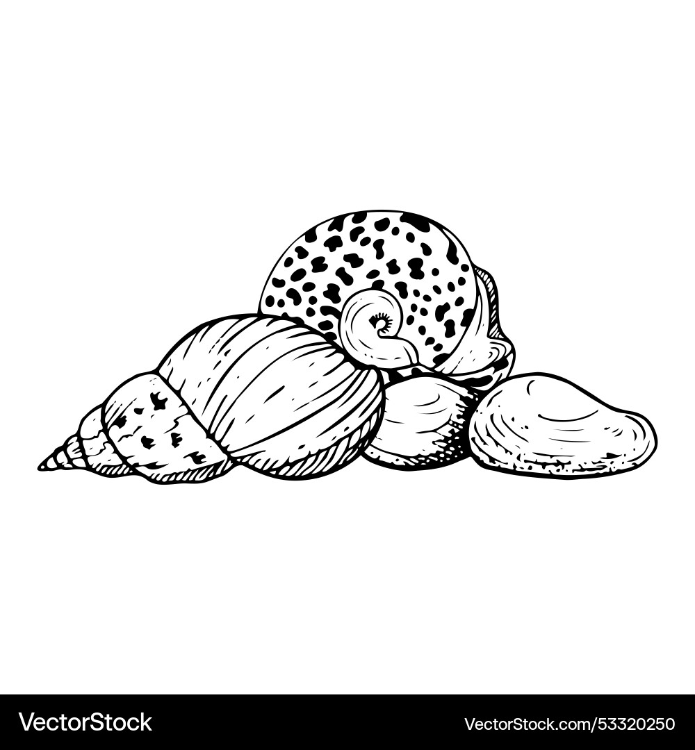 Line spiral seashell and round nautilus on seabed Line spiral seashell and round nautilus on seabed vector image