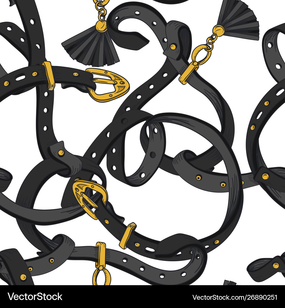 Elegant Belt and Chain Pattern Vector Image