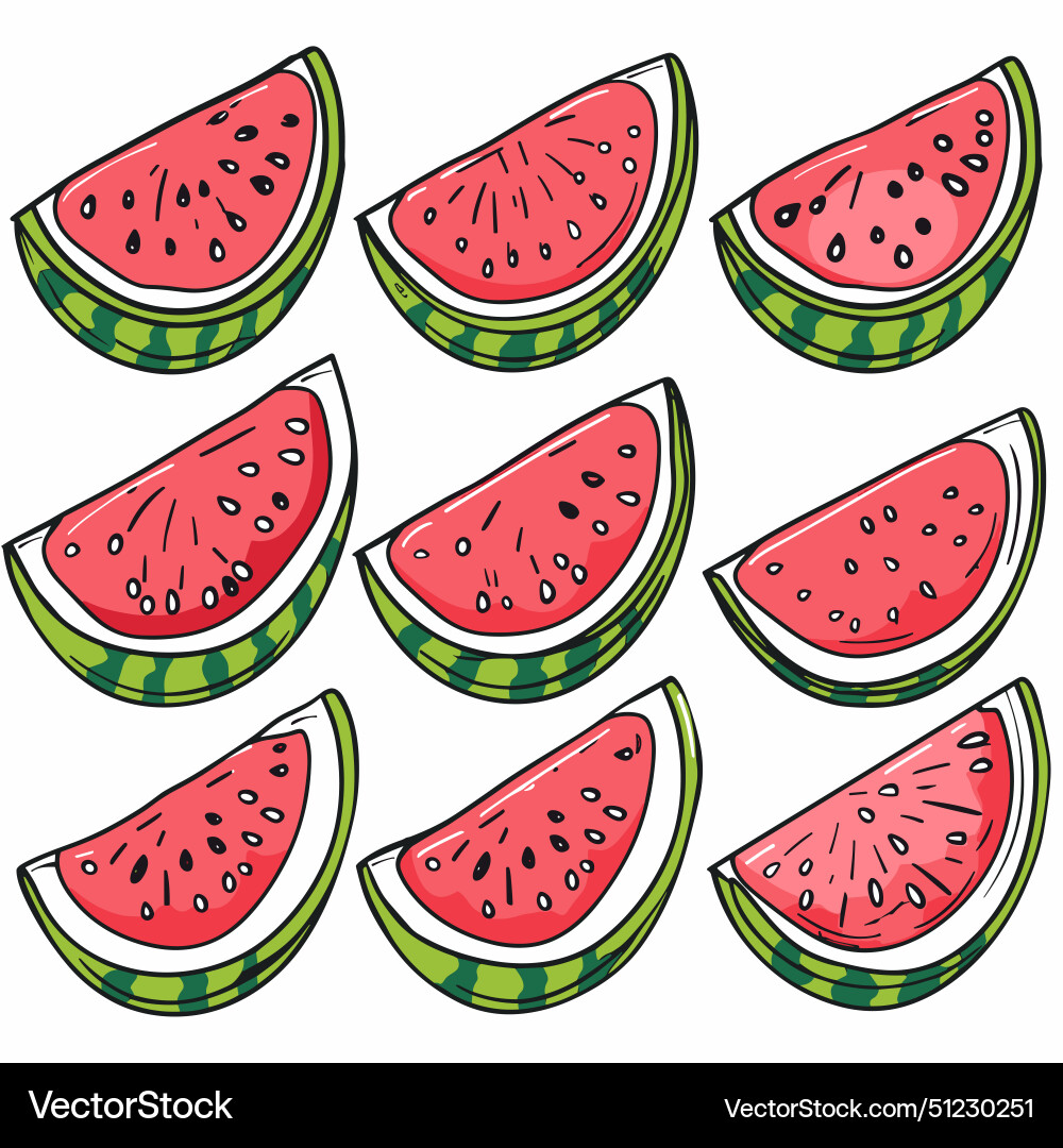 Fresh watermelon slices pattern scattered randomly Vector Image