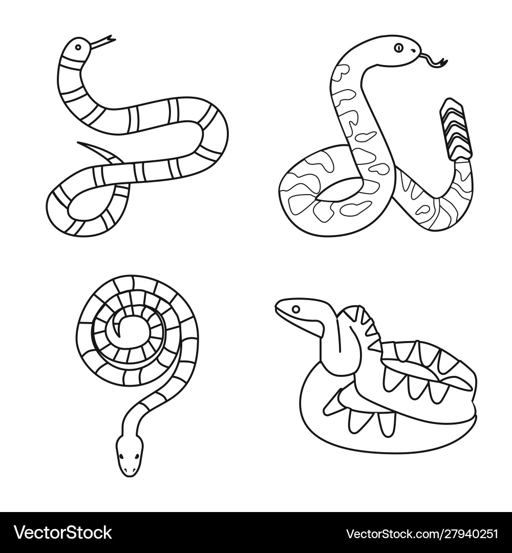Isolated object snake and creepy symbol Isolated object snake and creepy symbol Vector Image