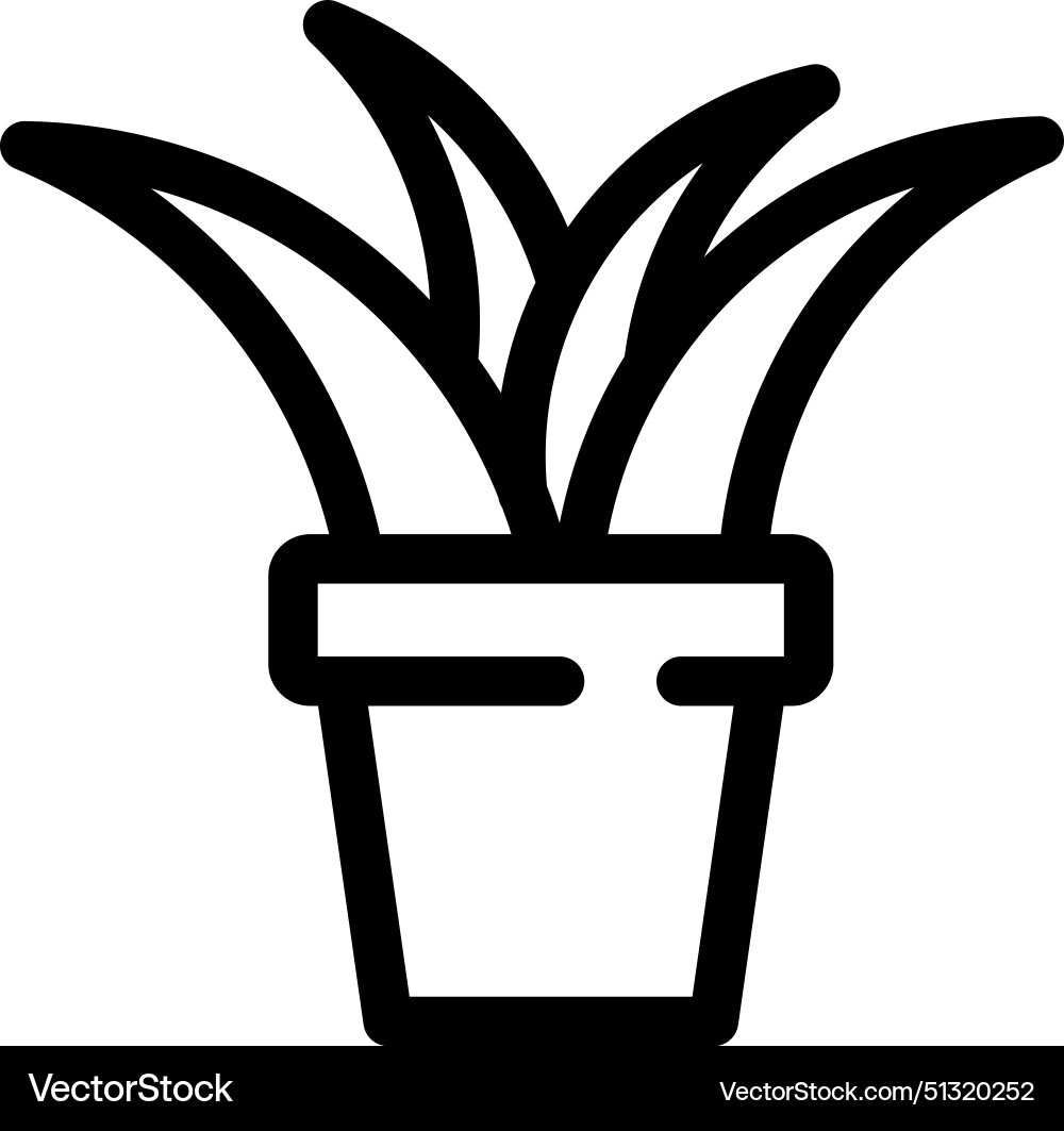 Aloe icon thin linear style design isolated Vector Image