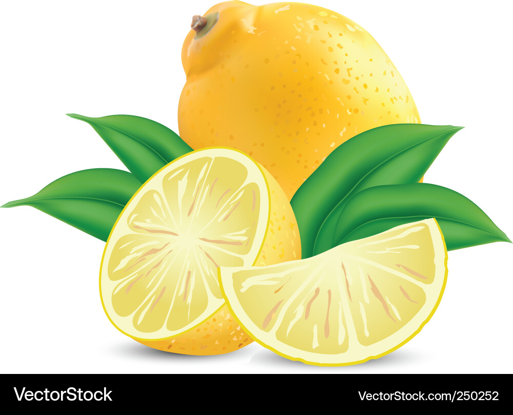 Ripe Yellow Lemons Vector Image