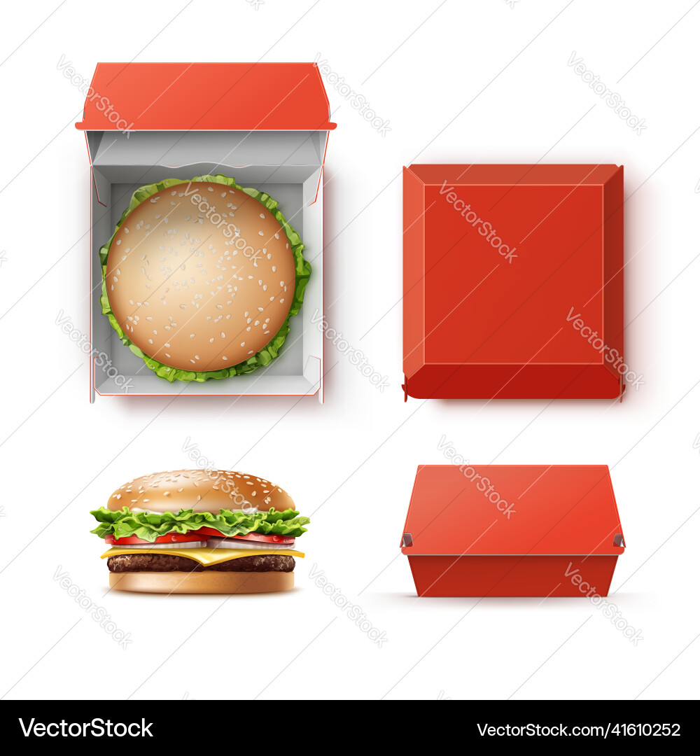 Set of container with hamburger Set of container with hamburger vector image