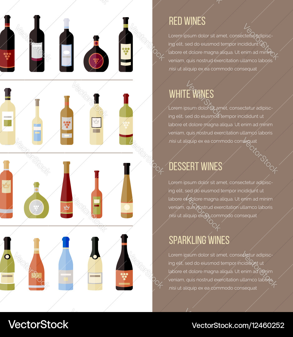 Set of different kinds wine bottles in flat Vector Image