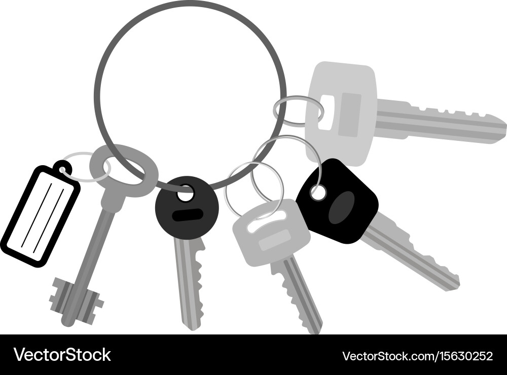 Set of Keys with Keychain vector image