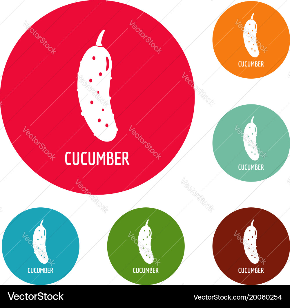 Cucumber icons circle set vector image