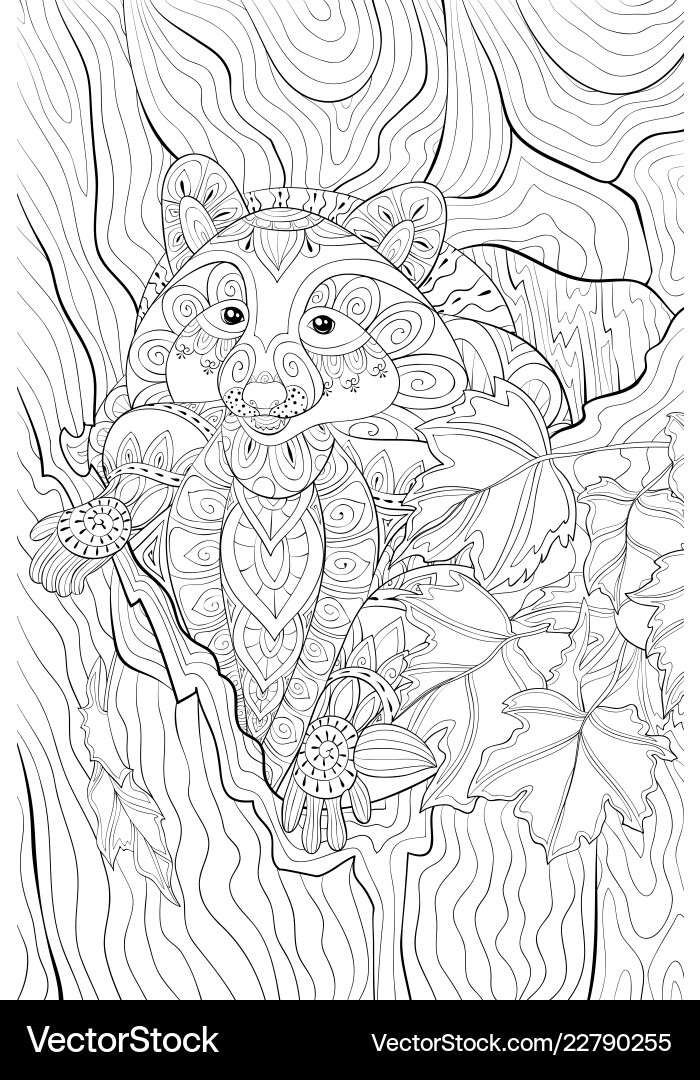Adult coloring bookpage a cute raccoon Adult coloring bookpage a cute raccoon vector image