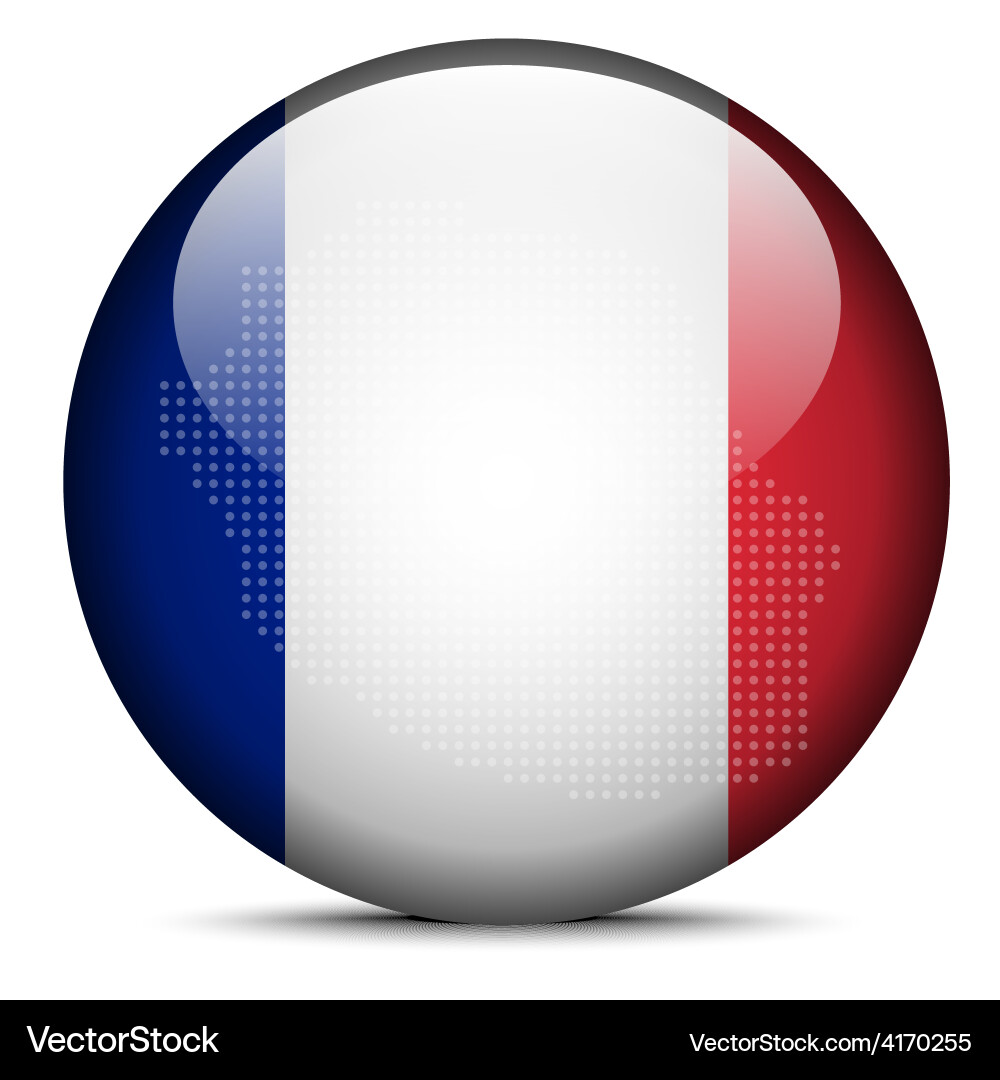 Map with dot pattern on flag button of reunion vector image